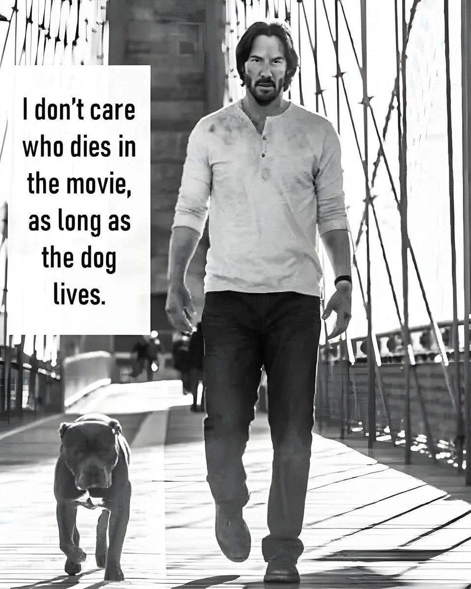 𝕏 Dogs (@_xdogs) on Twitter photo 