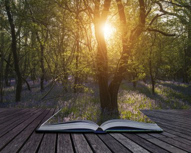 📖 À livre ouvert : plus que quelques jours pour candidater au dispositif et avoir l'opportunité de travailler dans l'univers du livre en partenariat avec un professionnel (auteur, illustrateur, relieur, etc.).
daac.ac-rennes.fr/spip.php?artic…