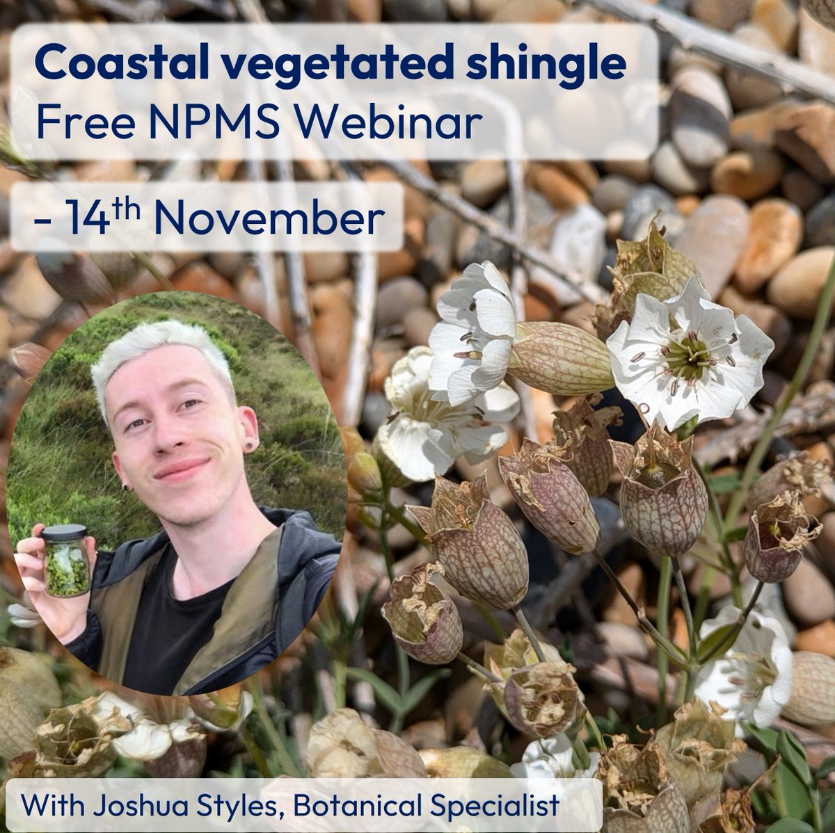 National Plant Monitoring Scheme (@thenpms) on Twitter photo Just over a week until our NPMS Coastal Vegetated Shingle Zoom webinar with <a href="/joshual951/">Joshua Styles</a> which is open to all NPMS volunteers - spaces available. Join us next Weds 14th November 12.30 - 1.30 to learn more about this fascinating habitat. Register here ow.ly/XIy550U1kNB Just over a week until our NPMS Coastal Vegetated Shingle Zoom webinar with <a href="/joshual951/">Joshua Styles</a> which is open to all NPMS volunteers - spaces available. Join us next Weds 14th November 12.30 - 1.30 to learn more about this fascinating habitat. Register here ow.ly/XIy550U1kNB