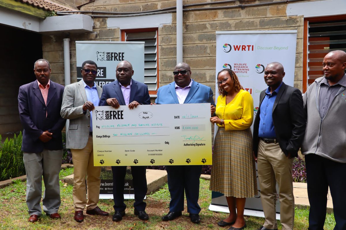 Wildlife Research & Training Institute (@wrtikenya) on Twitter photo The Institute which is coordinating the National Wildlife Census (2024-2025) in conjunction with <a href="/KWSKenya/">Kenya Wildlife Service</a> and other partners today received a donation of Sh2 million from the Born Free Foundation towards the pre-planning of the Laikipia-Samburu-Meru-Marsabit landscape census The Institute which is coordinating the National Wildlife Census (2024-2025) in conjunction with <a href="/KWSKenya/">Kenya Wildlife Service</a> and other partners today received a donation of Sh2 million from the Born Free Foundation towards the pre-planning of the Laikipia-Samburu-Meru-Marsabit landscape census