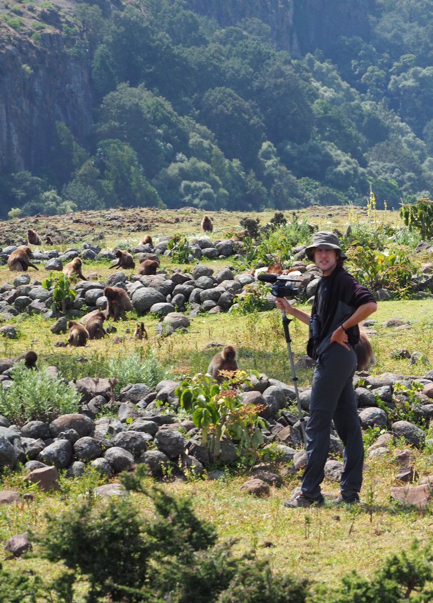 Luca Pedruzzi (@pedruzziluca) on Twitter photo It might look like I’m posing but I’m actually desperate trying to identify the too many geladas in front of me 😅
<a href="/geladas_bridges/">Geladas_for_Cooperation</a> #fieldlife It might look like I’m posing but I’m actually desperate trying to identify the too many geladas in front of me 😅
<a href="/geladas_bridges/">Geladas_for_Cooperation</a> #fieldlife