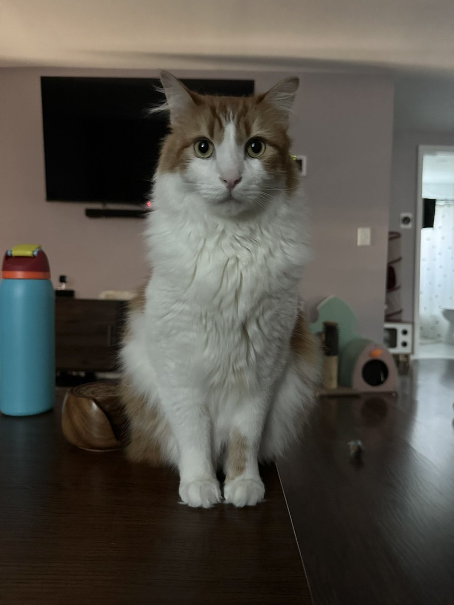 hi frens plees take care urself to day. tounch an grass ,look at cate pichers, make an bade art, eat an plastick ,