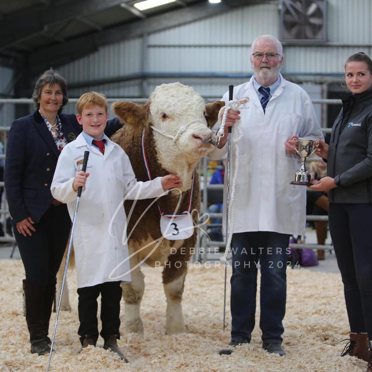 _DebbiesDesigns's tweet image. 🔥🏆 BOSAHAN ROSELLA INGRID VENUS ‘ON A DIFFERENT PLANET’ AS SIMMENTALS DOMINATE CORNWALL PEDIGREE BEEF CALF SHOW! 🔥🏆

👉 Bosahan win Overall Supreme Champion, and Continental Champion
👉 Killiworgie Playboy wins Senior Overall Champion, and Senior Continental Champion
