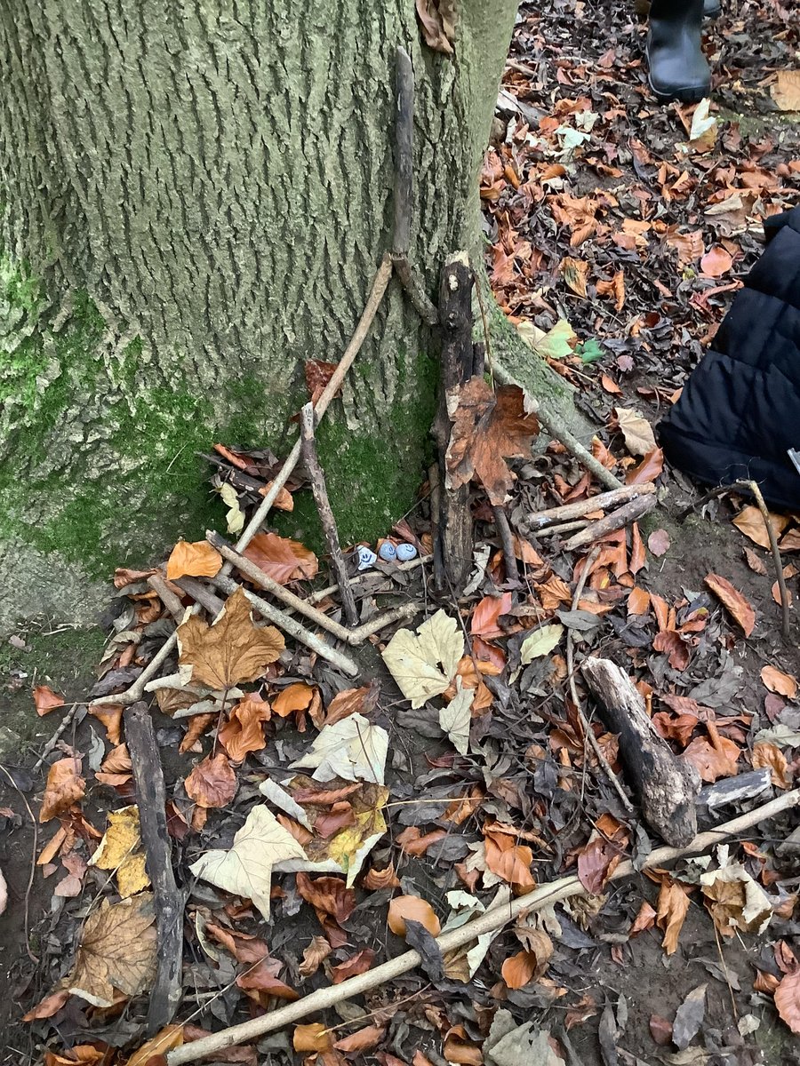 Brotherton and Byram CP Academy (@bandbschool) on Twitter photo Team Aire thoroughly enjoyed their school trip today to Ledston where they took part in a minibeast hunt, a scavenger hunt and created a shelter for their own 'pebble people'. <a href="/CountrysideL/">Countryside Learning</a> #outdoorlearning Team Aire thoroughly enjoyed their school trip today to Ledston where they took part in a minibeast hunt, a scavenger hunt and created a shelter for their own 'pebble people'. <a href="/CountrysideL/">Countryside Learning</a> #outdoorlearning