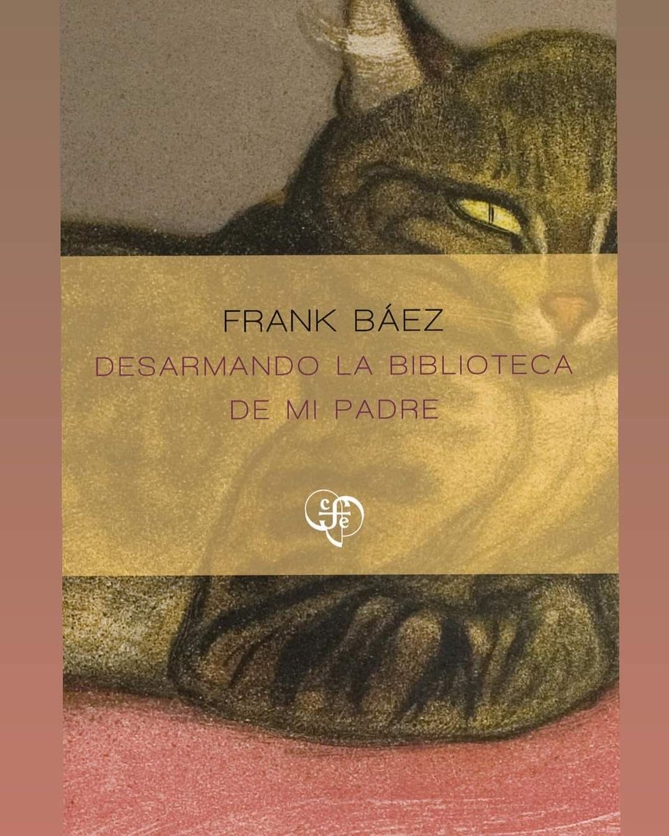 "Duele mucho desarmar una biblioteca, 
ser consciente de que estás destruyendo 
lo que el amor, la paciencia y el rigor unió."

Frank Báez
(República Dominicana, 1978)