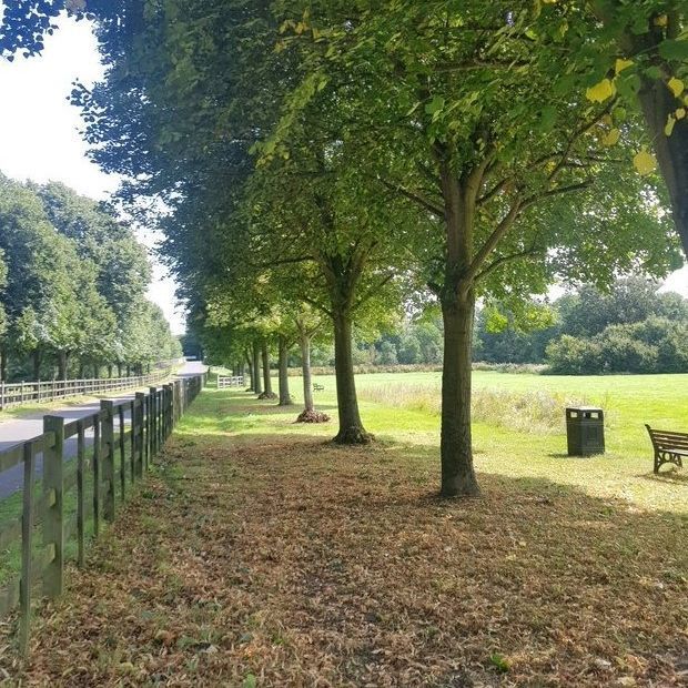 Pop to Cranford Park on Saturday 16 November, 10.30am, to meet members of our community safety and green spaces teams and local police officers.
Walk the park and share any issues or concerns, so we can work together to address them and keep our historic venue welcoming for all.