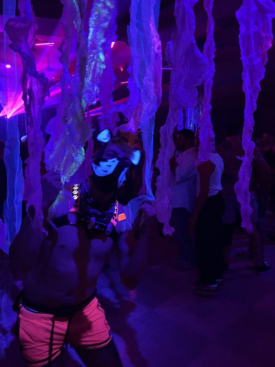 Pup Pyro¹³ tweet media