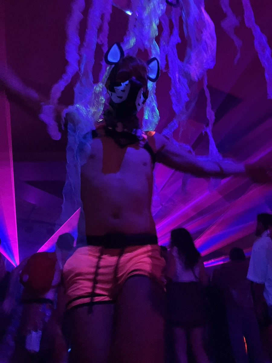 Pup Pyro¹³ tweet media