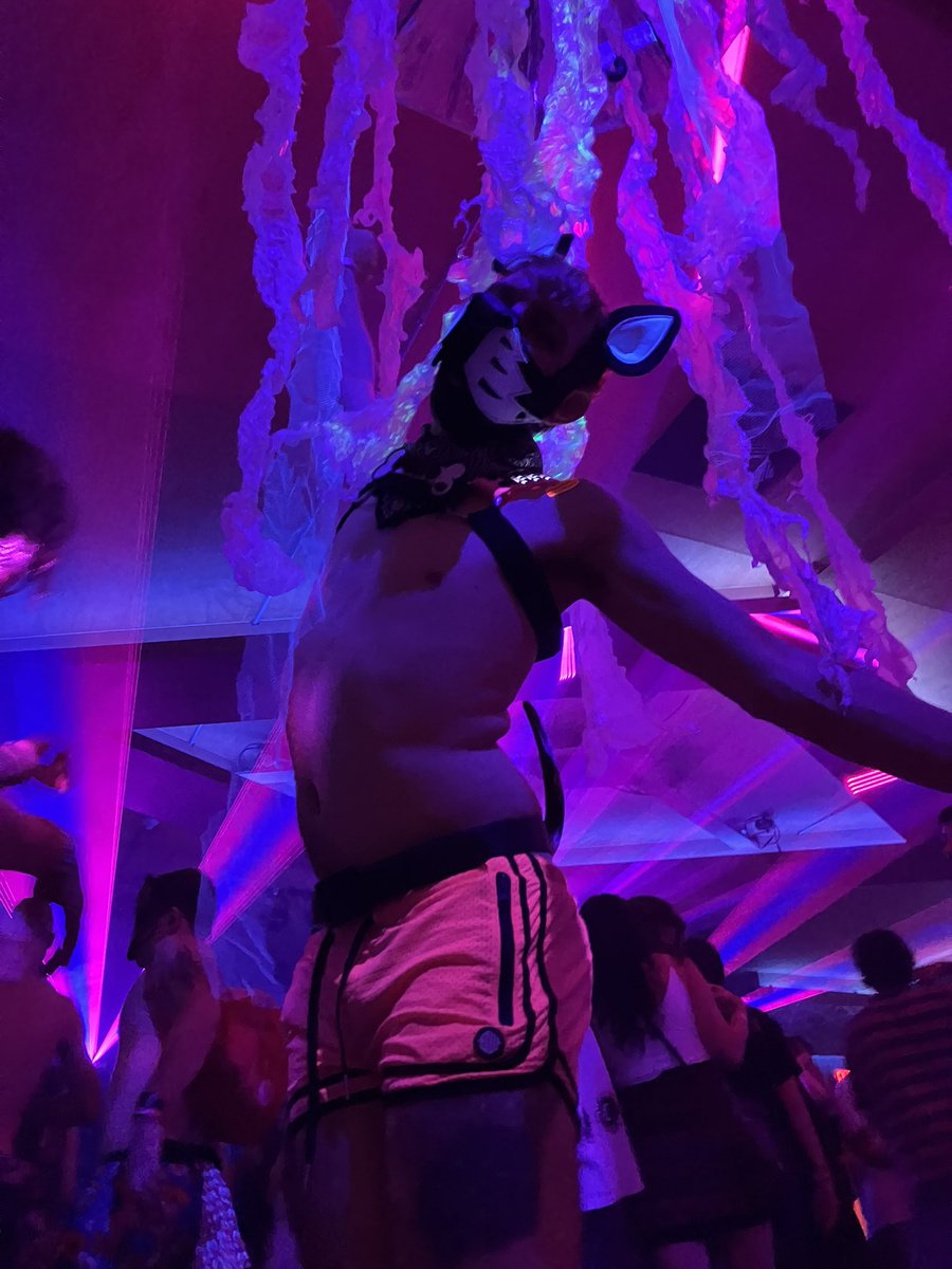 Pup Pyro¹³ tweet media