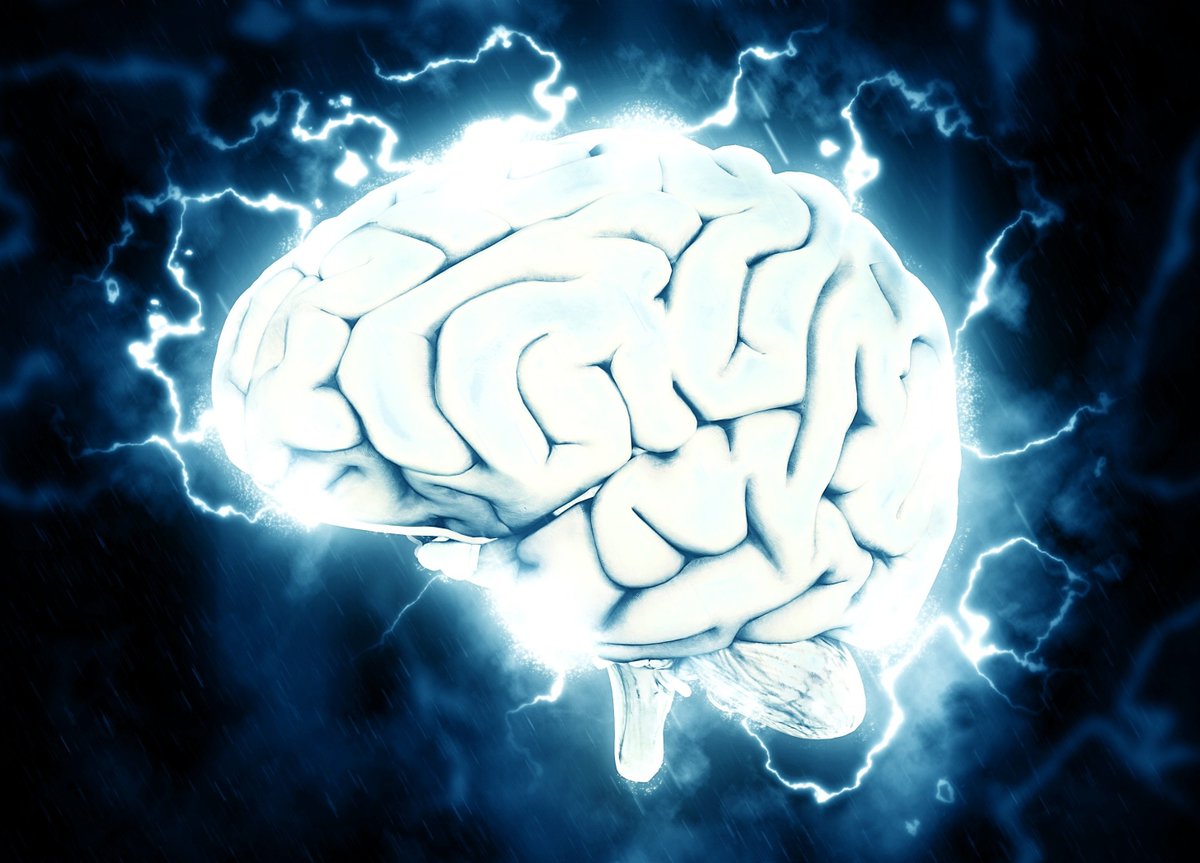 Today is #NationalStressAwarenessDay, a day to raise awareness about the impact of stress on physical and mental well-being. MDI Biological Laboratory scientists are researching how stress can effect our bodies from childhood and continue as we age: mdibl.org/?s=stress
