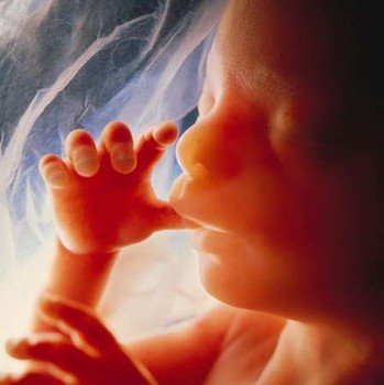 mbcpathway's tweet image. Pro-abortion Amendment 3 passed in Missouri last night, with 51.742% voting for the state constitutional amendment and 48.258% voting against the amendment.
#PrayForThePreBorn #protecttheinnocent