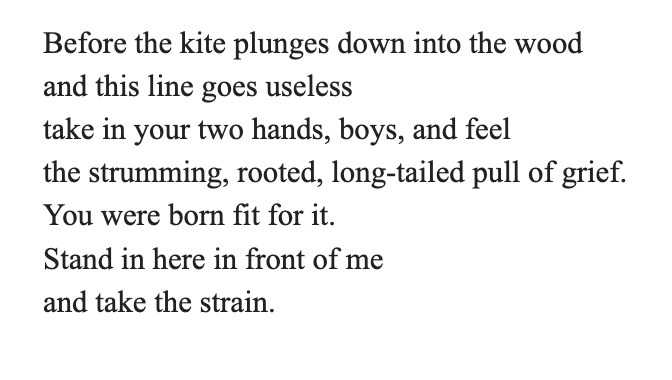 Joseph O'Neill tweet media