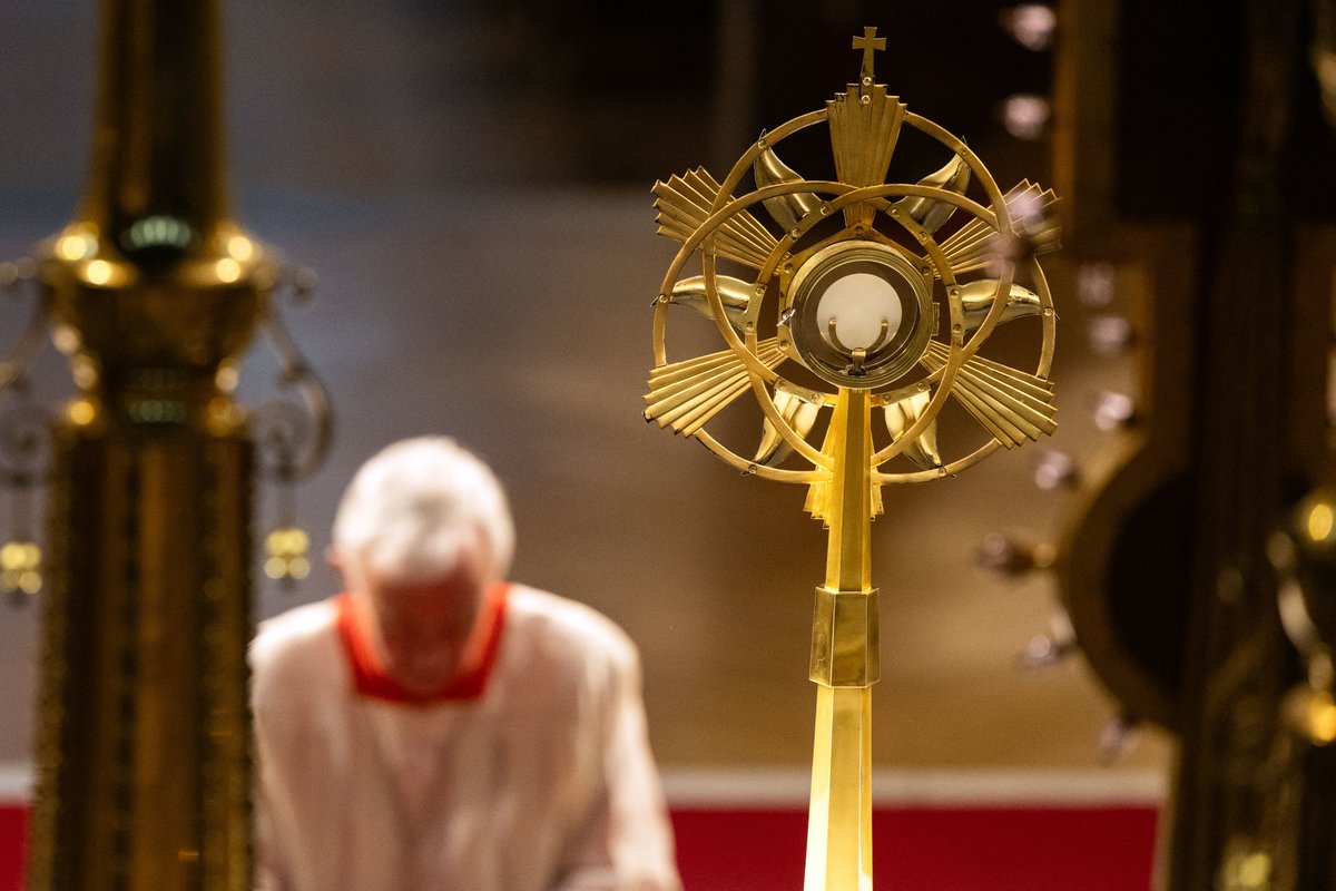 Cardinal Nichols (@cardinalnichols) on Twitter photo This is an important moment in our history.
On 13th November at 5.30pm, the Bishops of <a href="/catholicEW/">Catholic Church</a> will pray before the Blessed Sacrament, asking God's blessing on our country. We pray that minds and hearts will be opened to see the life of every person as a gift from God. This is an important moment in our history.
On 13th November at 5.30pm, the Bishops of <a href="/catholicEW/">Catholic Church</a> will pray before the Blessed Sacrament, asking God's blessing on our country. We pray that minds and hearts will be opened to see the life of every person as a gift from God.