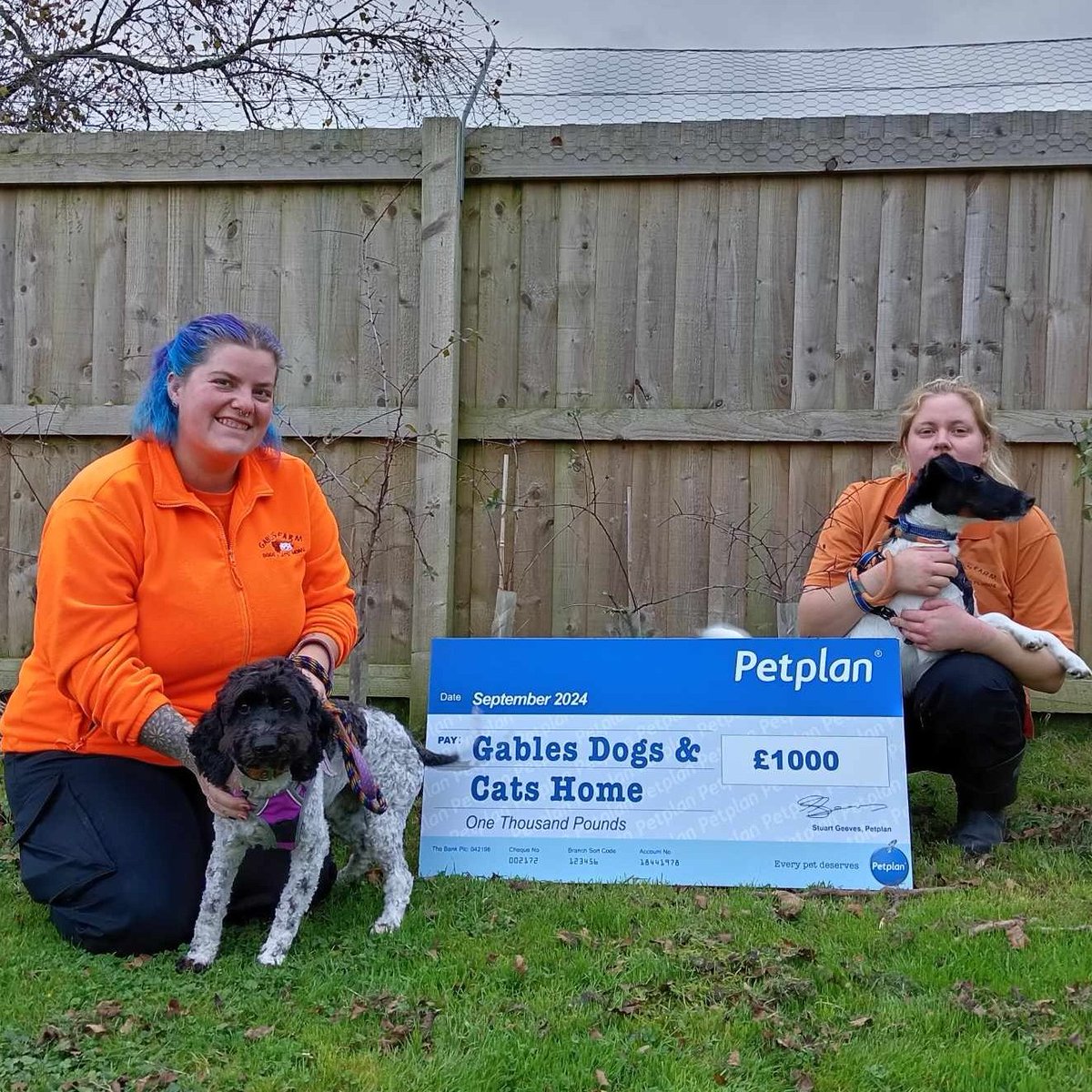 Gables Dogs & Cats Home (@gablesdogscats) on Twitter photo A humongous thank you from all the animals and staff here at Gables <a href="/PetplanUK/">Petplan UK</a>! We were the lucky winners of their monthly prize draw for a fantastic £1000.
Gollum and Markle couldn't be happier! They both look forward to any treats & toys coming their way from the prize money! A humongous thank you from all the animals and staff here at Gables <a href="/PetplanUK/">Petplan UK</a>! We were the lucky winners of their monthly prize draw for a fantastic £1000.
Gollum and Markle couldn't be happier! They both look forward to any treats & toys coming their way from the prize money!