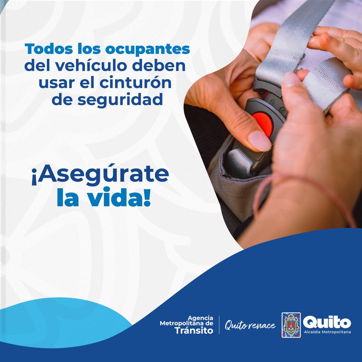 AMT_Quito's tweet photo. 👮 #AMTEduca |  ¡Asegúrate la vida!

👍🏾 Cumple con la ley y utiliza el cinturón de seguridad dentro del 🚙 vehículo.

Te contamos cuáles son las 💵 sanciones . 

¡Evita multas y salva vidas!

🫶🏾 Con movilidad responsable
☀️ #QuitoRenace https://t.co/m7zzqEA8Hs