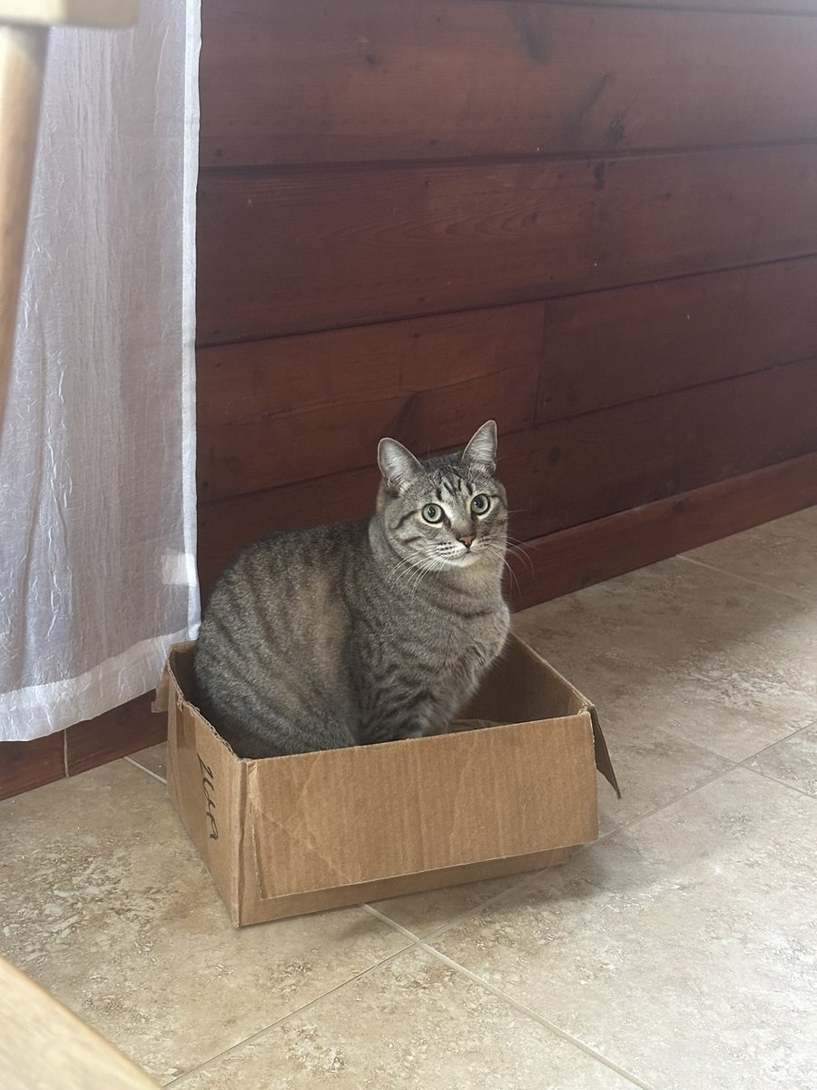 Just so you know I am very soft and also quite absorbent. Like a tissue and a warm blanket. If you need that.