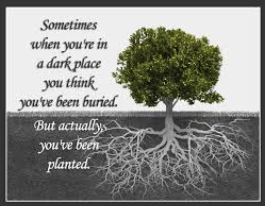 Wellness Wednesday "Stay the Course &amp; Stay Afloat"

“Storms make trees take deeper roots.”  -  Dolly Parton

Have you ever felt someone or something is trying to take you down? Friends? Adults? Political or World Views? Unexpected Events?

Read More:
docs.google.com/document/d/1hs…
