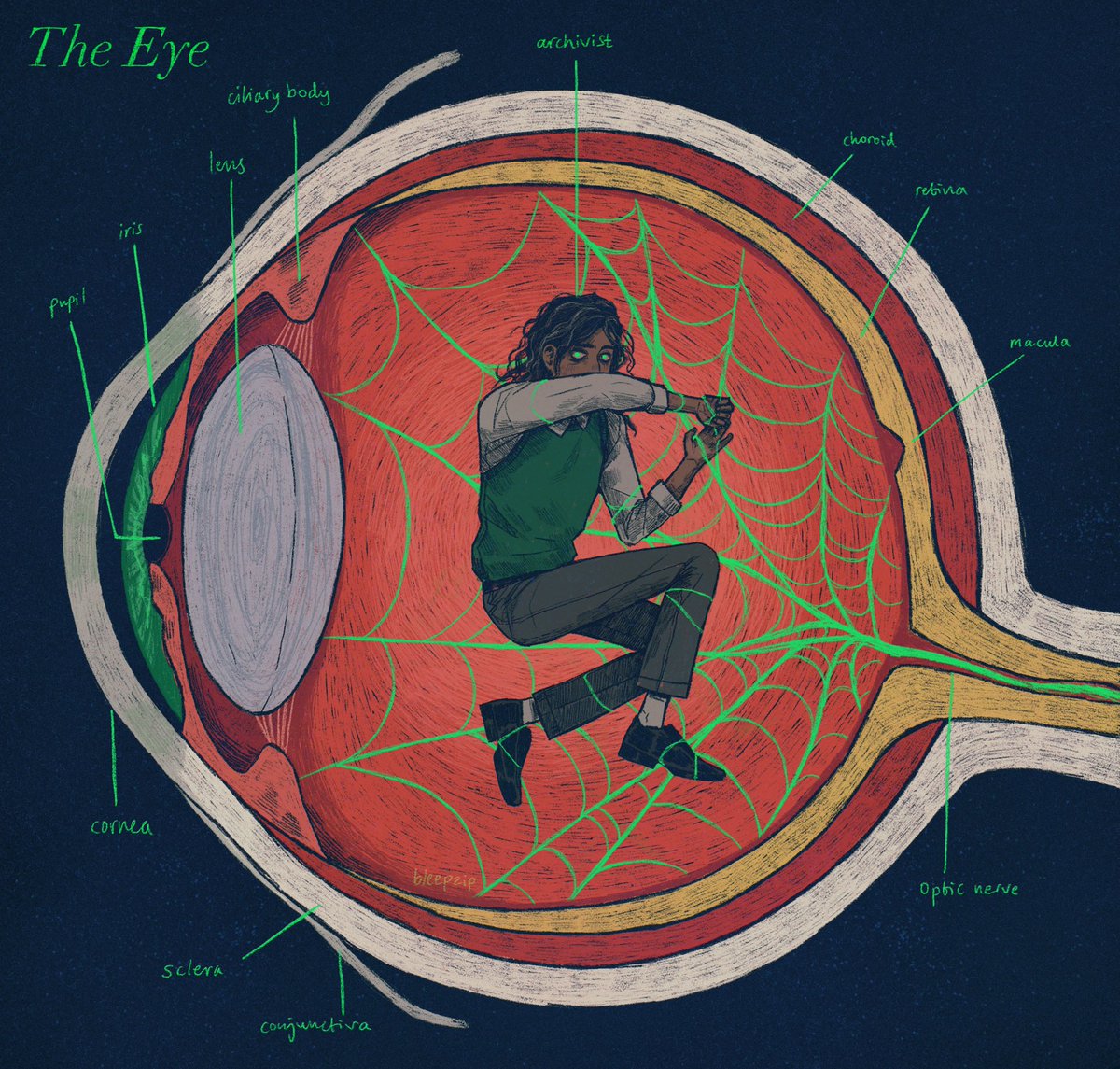 anatomy 👁️
#themagnusarchives #tma #thearchivist