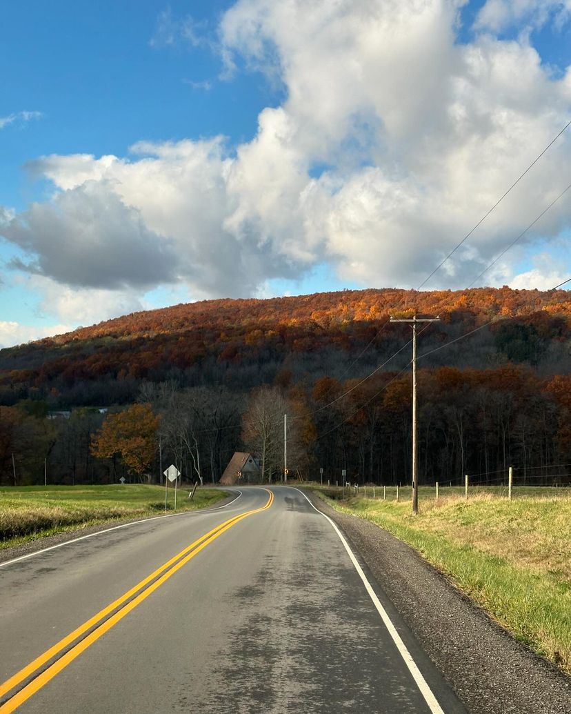 Visit Finger Lakes tweet media