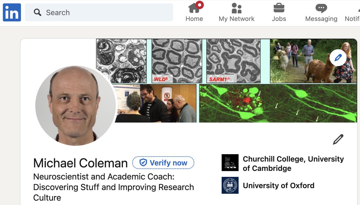 Michael Coleman (@lab_coleman) on Twitter photo Two main themes in the Science Without Anguish blogs are security and values in research life. 
Today this is more important than ever. How do we navigate this changed landscape? 
Once I calm down I will post on the topic. Meanwhile join us elsewhere.
sciencewithoutanguish.com Two main themes in the Science Without Anguish blogs are security and values in research life. 
Today this is more important than ever. How do we navigate this changed landscape? 
Once I calm down I will post on the topic. Meanwhile join us elsewhere.
sciencewithoutanguish.com