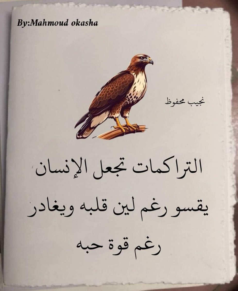 Zeid Q (@zeidq) on Twitter photo 