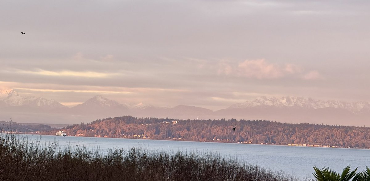 The sun still decided to rise