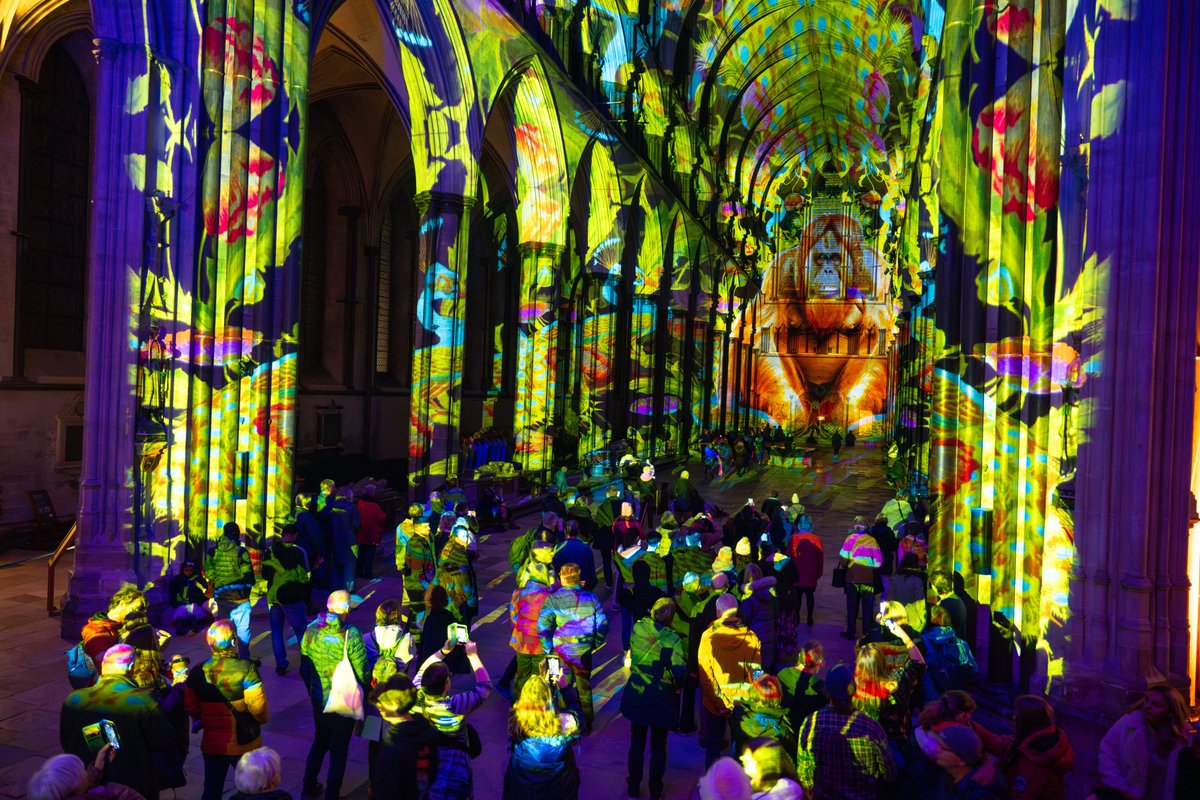 Salisbury Cathedral (@salisburycath) on Twitter photo What an amazing first night! 📷
Sarum Lights: Time by <a href="/luxmuralis/">luxmuralis</a> is on until Saturday 9 November, with tickets selling quickly. The best availability is tonight (Weds) and Thursday. #SarumLights
📷 bit.ly/3Y4ypC7
📷 - Finnbarr Webster
Supported by CCLA What an amazing first night! 📷
Sarum Lights: Time by <a href="/luxmuralis/">luxmuralis</a> is on until Saturday 9 November, with tickets selling quickly. The best availability is tonight (Weds) and Thursday. #SarumLights
📷 bit.ly/3Y4ypC7
📷 - Finnbarr Webster
Supported by CCLA