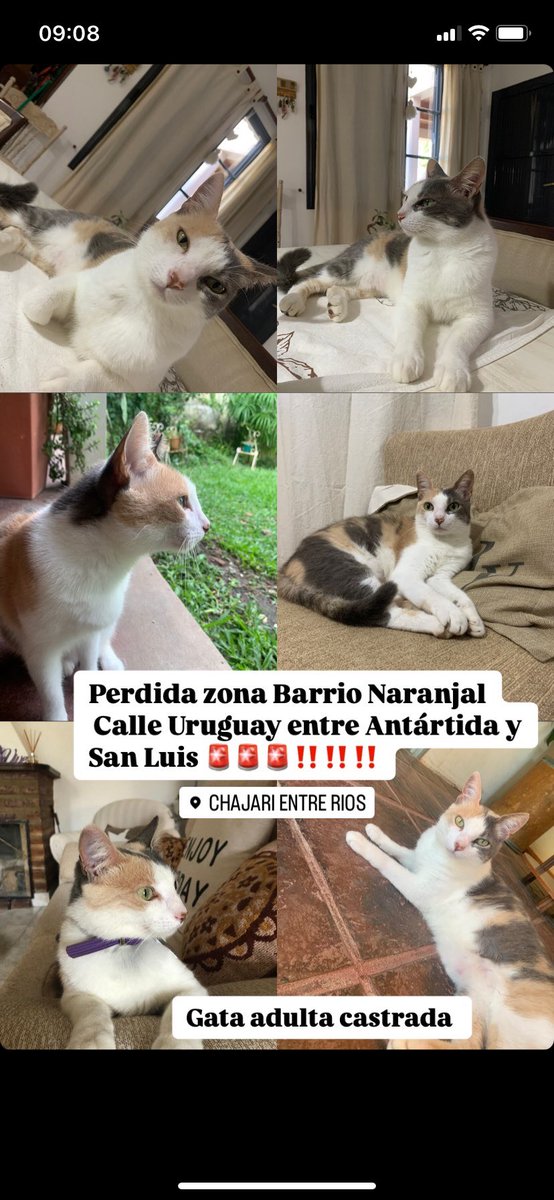 Difundir por favor 😭😭🚨🚨‼️‼️