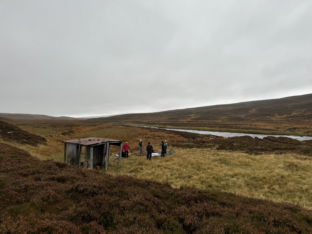 OutClassScot's tweet image. Remote camping spot for postgraduate students #glenfeshie