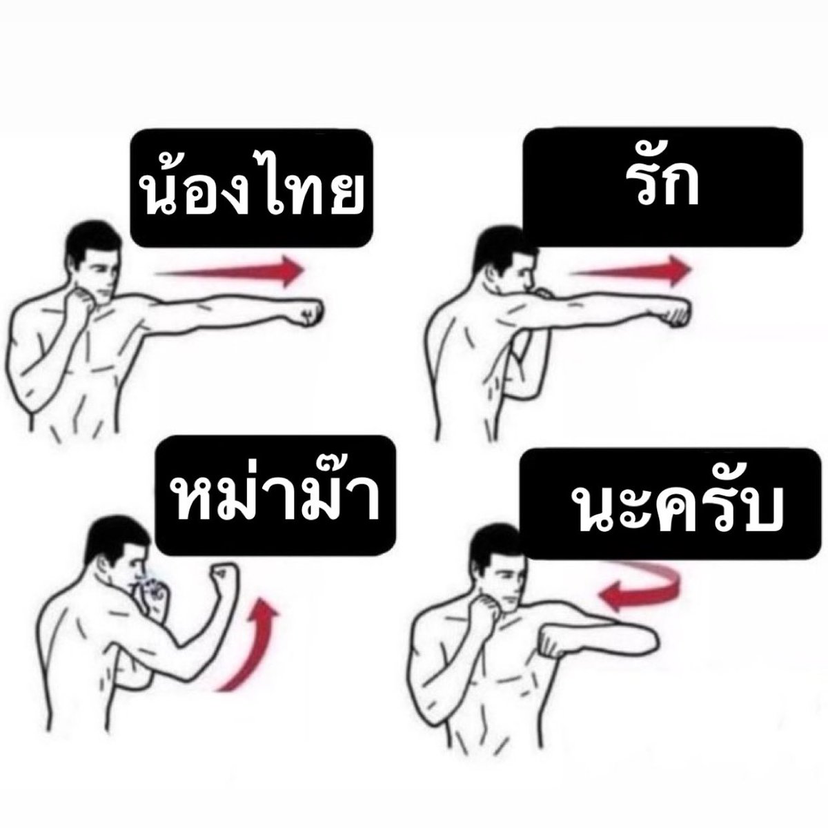 TimeYEHET's tweet photo. น้องไทย ถึง หม่าม๊า https://t.co/dAkJrfUqzd