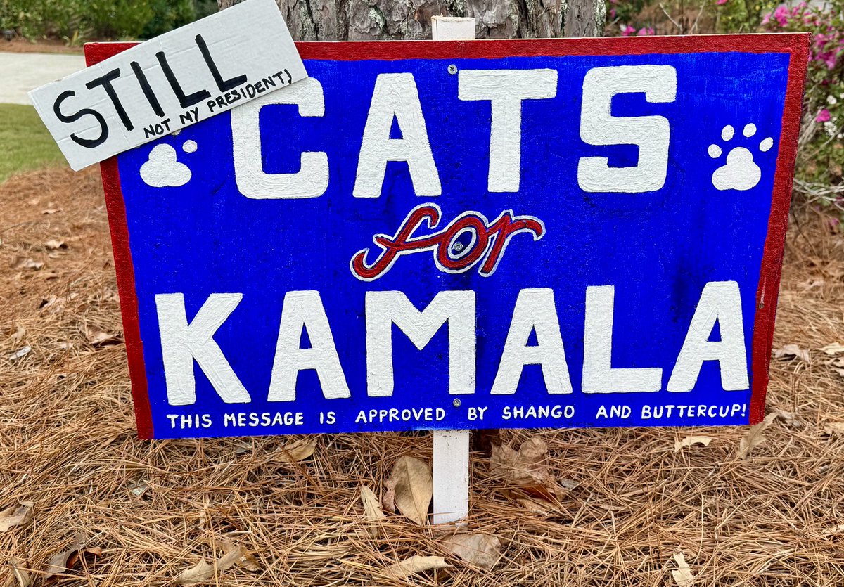 Dr. Sarah E. Dunn (@aussiebrit1) on Twitter photo I became a citizen and this was my 1st time voting! But - Still keeping my sign up - just changed it slightly!! #devastated for democracy and Kamala <a href="/VP/">Vice President JD Vance</a> <a href="/KamalaHarris/">Kamala Harris</a> I became a citizen and this was my 1st time voting! But - Still keeping my sign up - just changed it slightly!! #devastated for democracy and Kamala <a href="/VP/">Vice President JD Vance</a> <a href="/KamalaHarris/">Kamala Harris</a>