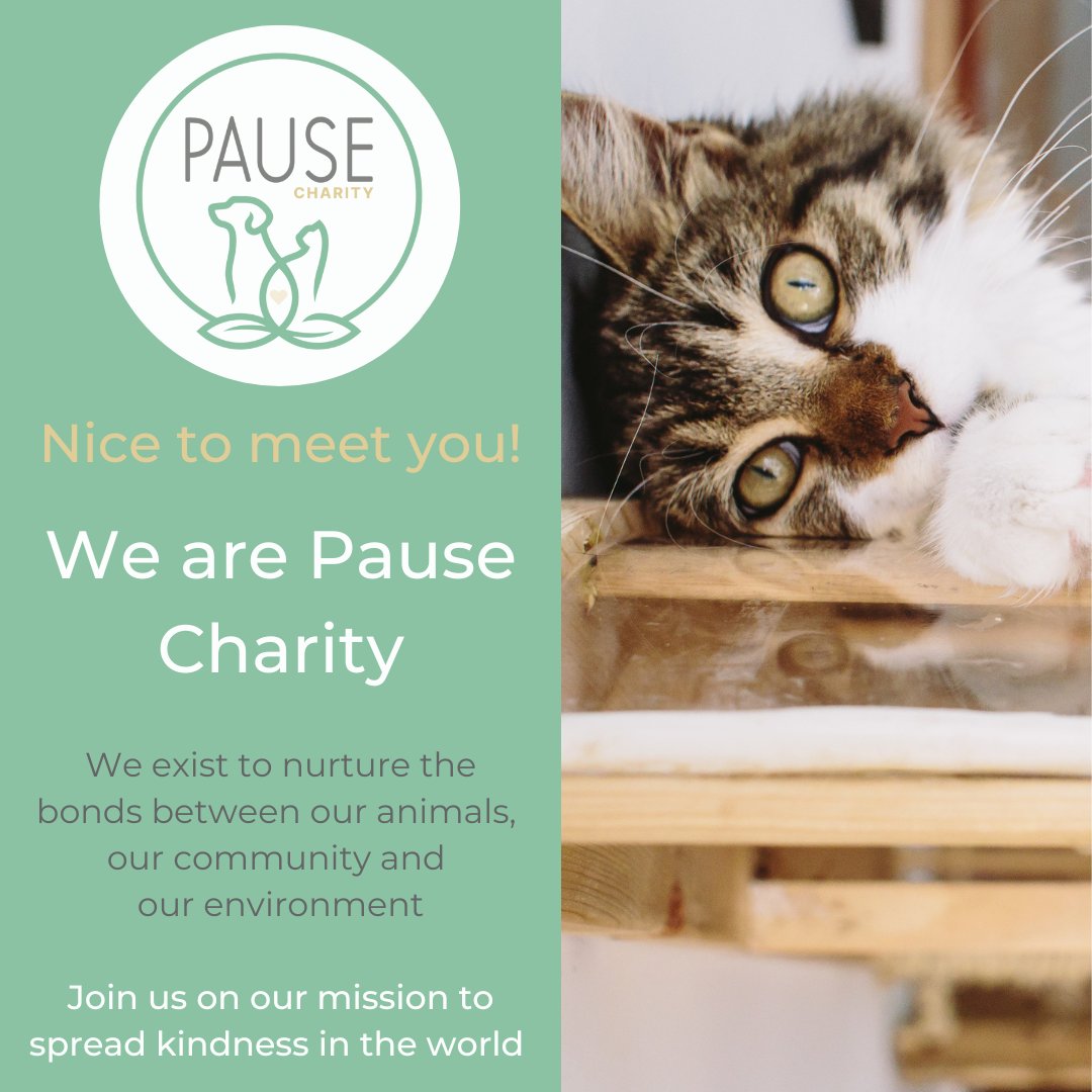 PauseCharity tweet media