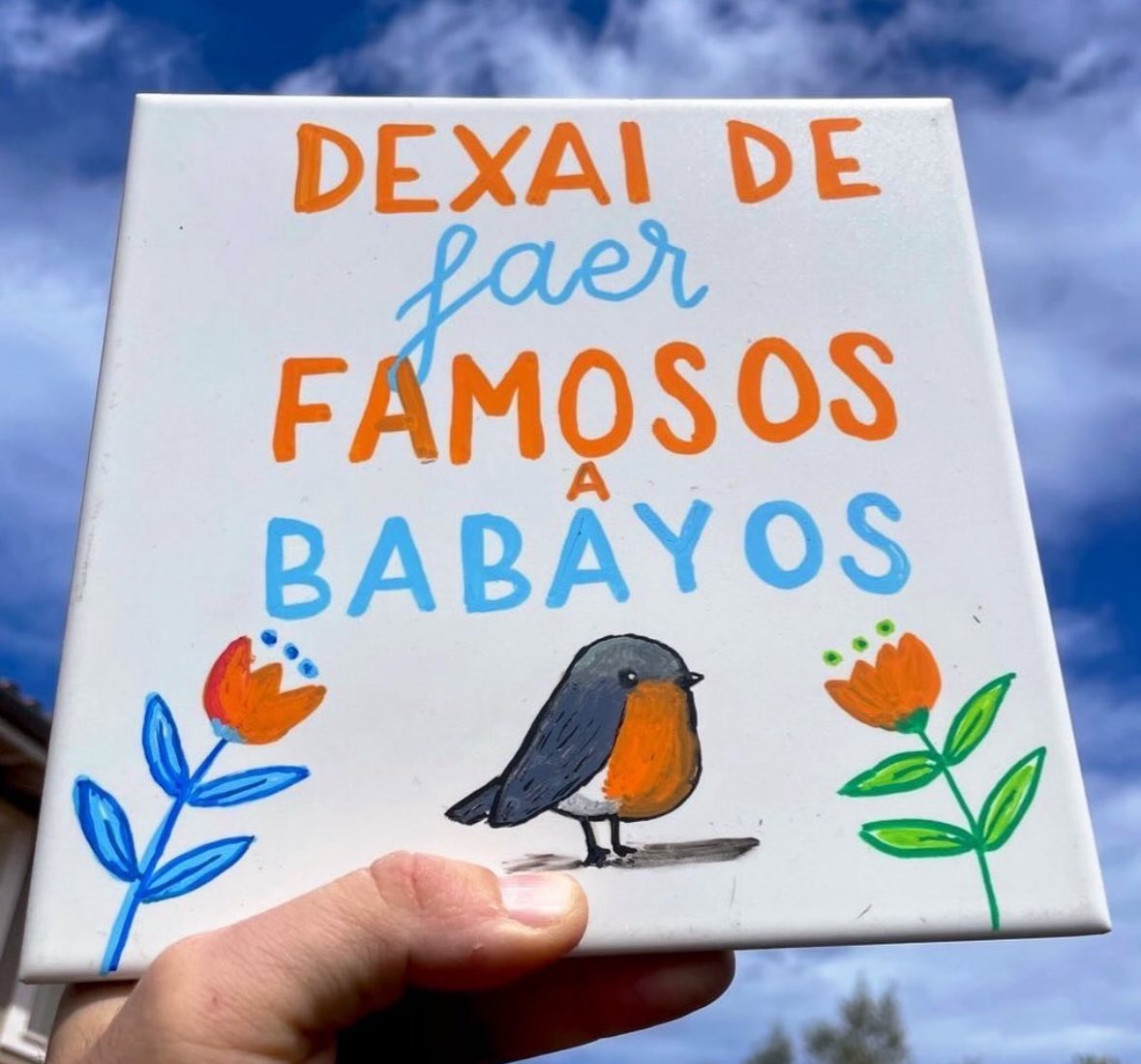 Por favor, faer casu al Raitán 🪶