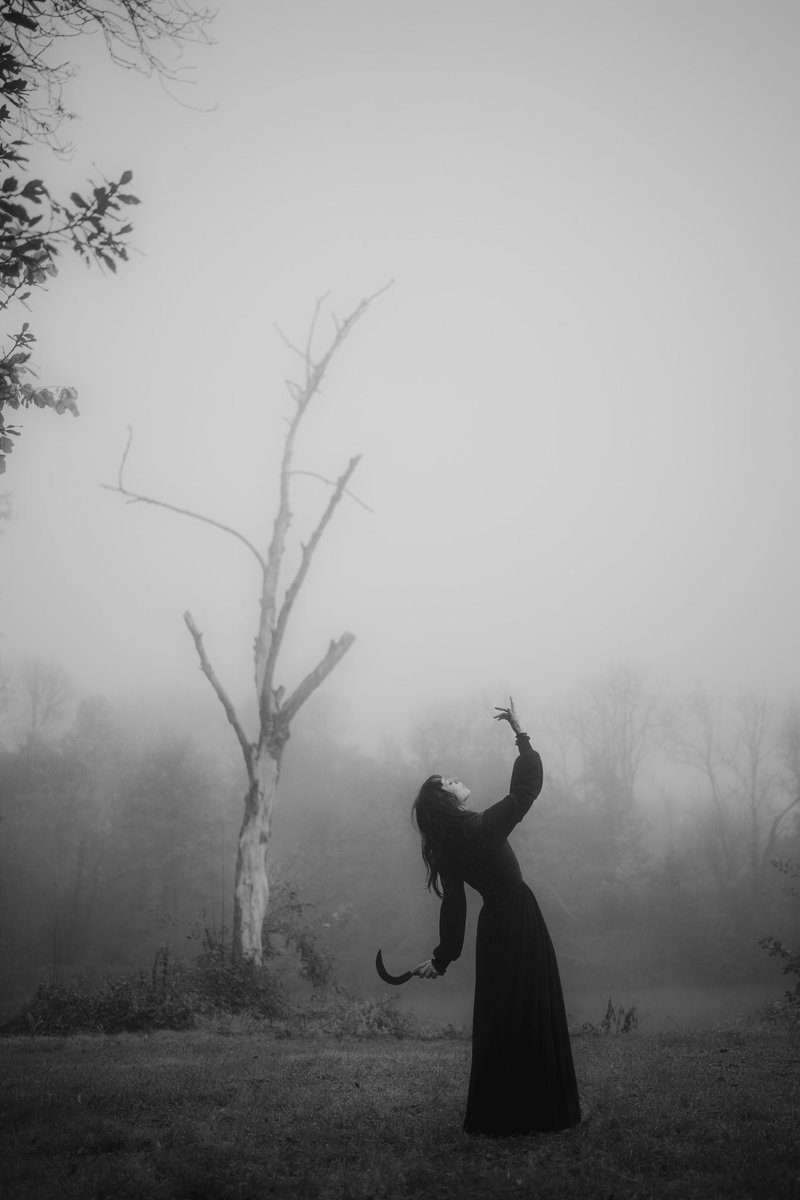 𝔉𝔞𝔞𝔩𝔩𝔞𝔴𝔞𝔶 tweet media