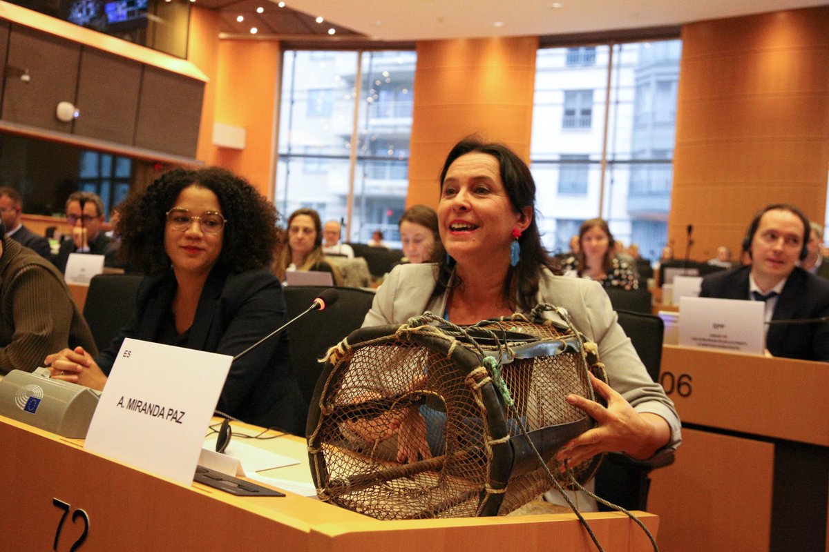 Hai que botar a nasa no #ParlamentoEuropeo 🐙
Acabo de intervir na comparecencia do candidato a Comisario de Pesca e Océanos Costas Kadis
#GalizavivedaPesca #Nacionpesqueira #pesca #marisqueo #mariñeiros #redeiras #mariscadoras #mexilloeiros #percebeiros e tantos traballos do mar