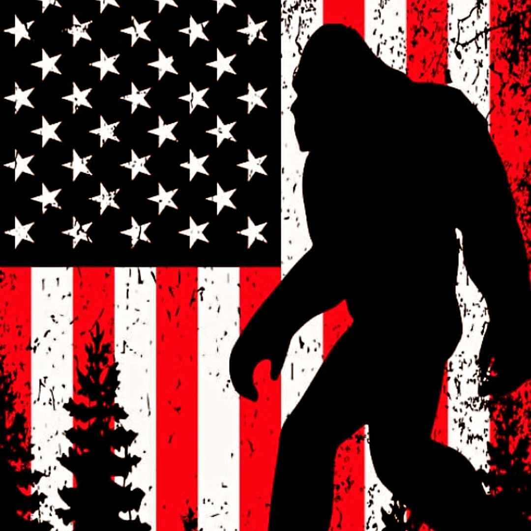 Regardless of whether your preferred candidate or party won or lost yesterday, don't forget that you can always destress and have fun studying Cryptozoology!

Go out Bigfooting, go on a hike, learn about a new cryptid, learn about zoology, study Paleontology, there's so much to