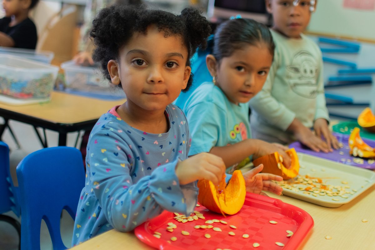 cscinc_org's tweet image. 🖍️📚 Our classrooms are buzzing with excitement as kiddos dive into hands-on learning and discovery every day! 🌈✨ From creative projects to curious questions, they’re embracing every moment. ❤️ #LoveLearning #CommunityServicesForChildren #EarlyEducation