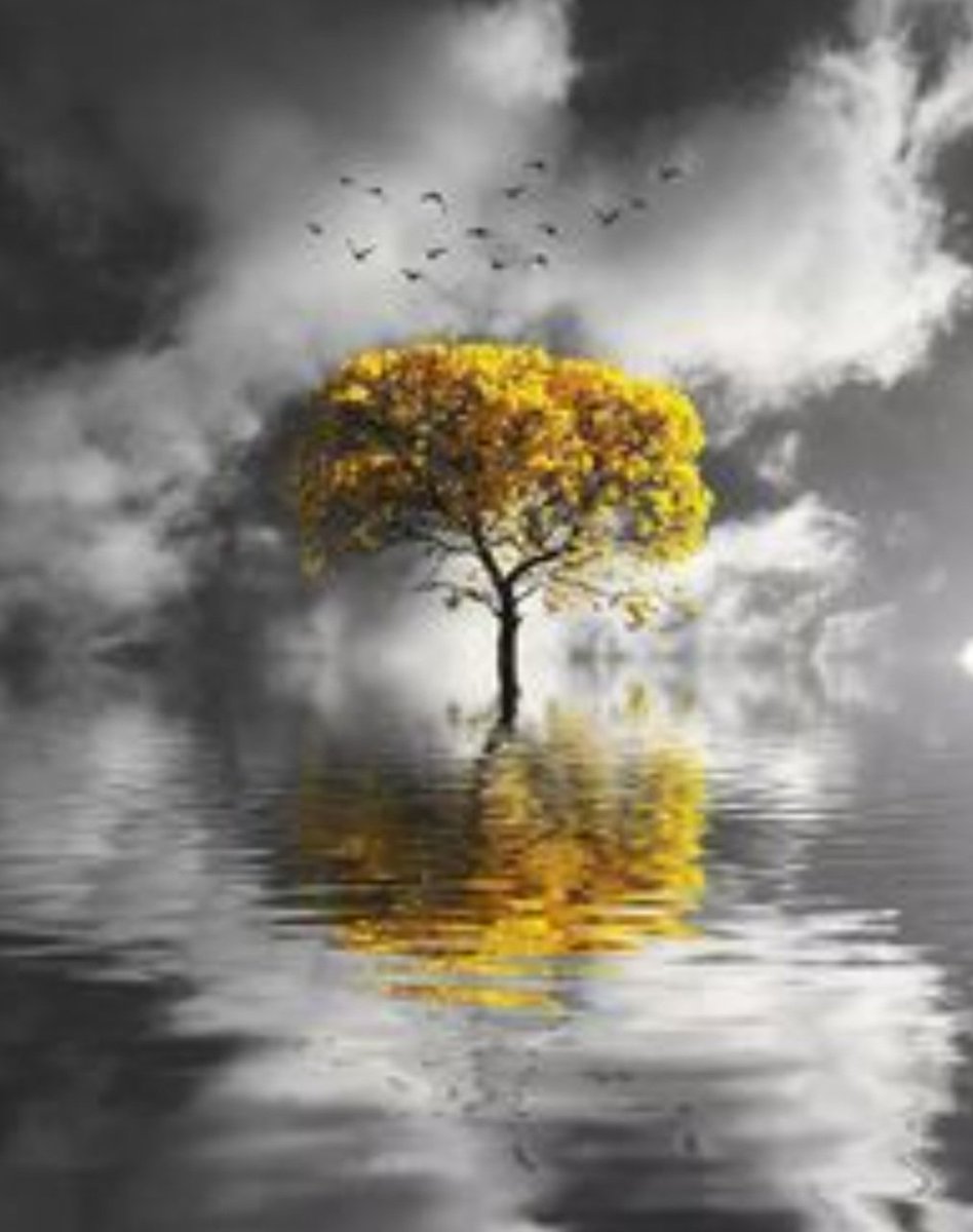 qnys1's tweet image. "Никога не пропускайте добрия шанс да замълчите."
Уил Роджърс