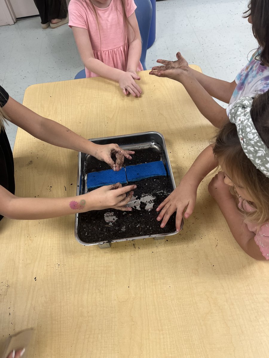 f_mbeach's tweet photo. Our FMBE littles learning about the importance of our wetlands with Mound House Staff 🌊🏝️🐬 @TownofFMB #FMBEStrong @LeeSchools https://t.co/AaORzPU6n8