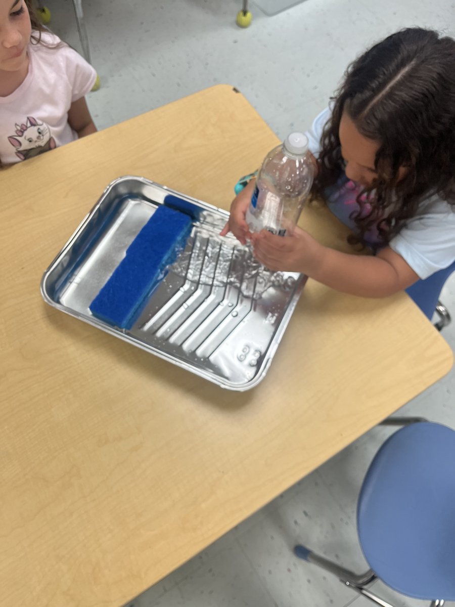 f_mbeach's tweet photo. Our FMBE littles learning about the importance of our wetlands with Mound House Staff 🌊🏝️🐬 @TownofFMB #FMBEStrong @LeeSchools https://t.co/AaORzPU6n8
