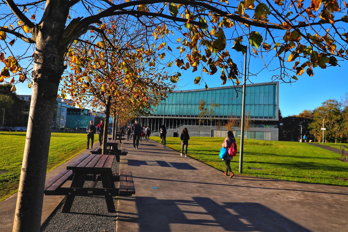 Our Campus📍: where the leaves fall, but the beauty stays! 🍂🍁

Captured by @zhangchaosheng 

#UniversityOfGalway #JECairnes #CairnesSchool #UniversityOfGalwayBusiness #UniversityOfGalwayEconomics #Galway #Autumn #GalwayAutumn #GalwayBusiness #GalwayEconomics