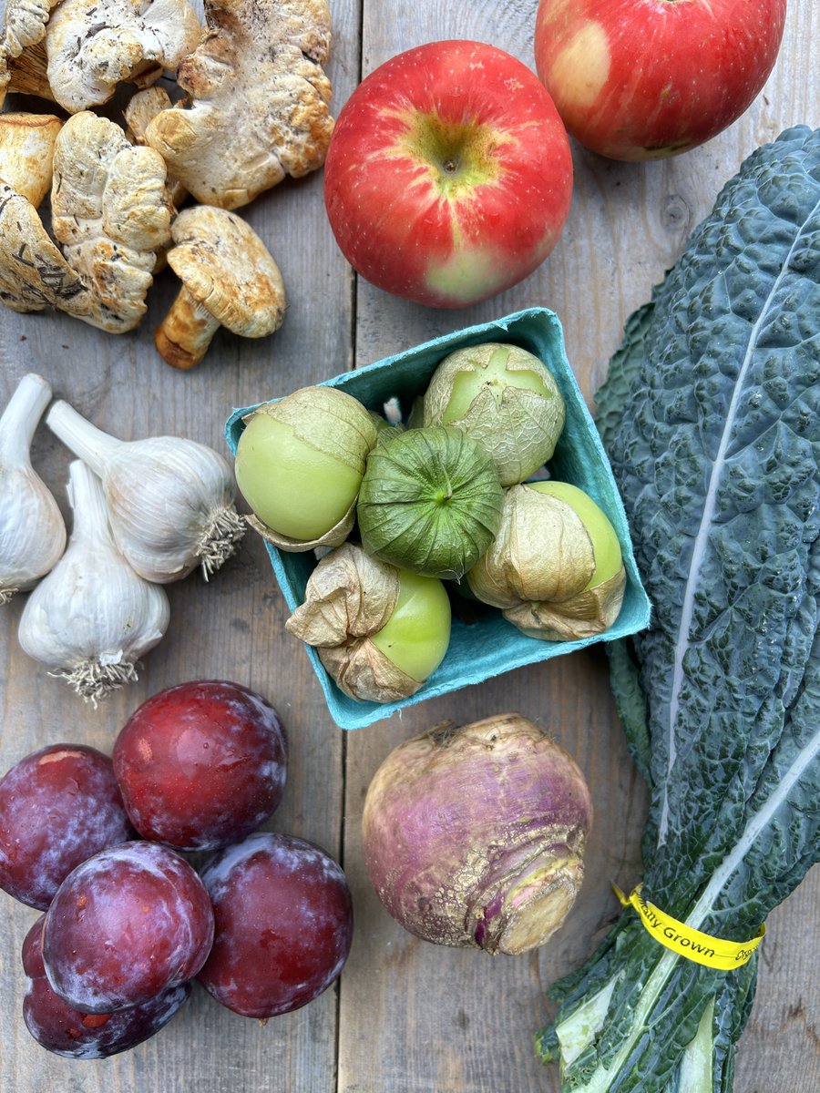 Seattle Restaurant Week (@seattlerw) on Twitter photo Thank you to Pacific Coast Harvest for being a sponsor of Seattle Restaurant Week.
Head to pacificcoastharvest.com to find out how you can order from the same farms that our cityās top restaurants source from!
<a href="/PacCoastHarvest/">Pacific Coast Harvest</a> Thank you to Pacific Coast Harvest for being a sponsor of Seattle Restaurant Week.
Head to pacificcoastharvest.com to find out how you can order from the same farms that our cityās top restaurants source from!
<a href="/PacCoastHarvest/">Pacific Coast Harvest</a>