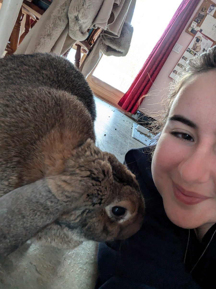 utterly depressed &amp; accidentally made my chronic illness(es) flare up BUT bunny kisses!! aka the only time jam is nice to me