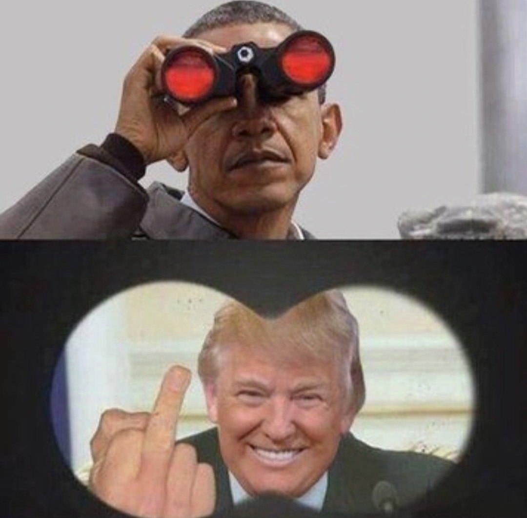 JOFFRE LEÃO (@joffregato) on Twitter photo 