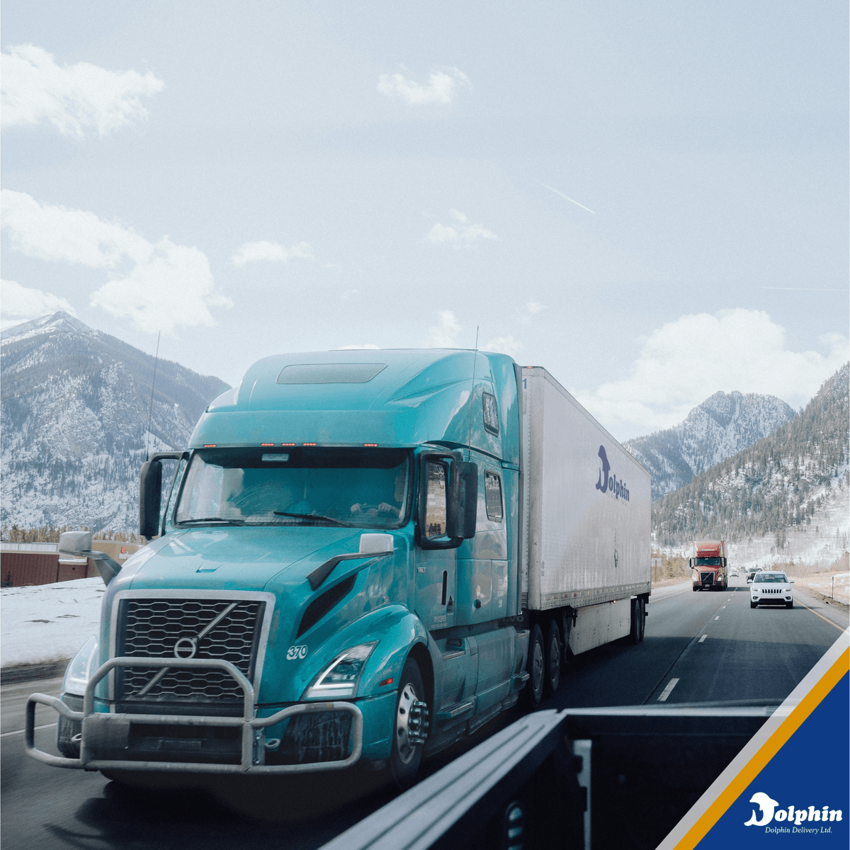 Interior-bound. Winter is just around the corner, and so is Dolphin Delivery.