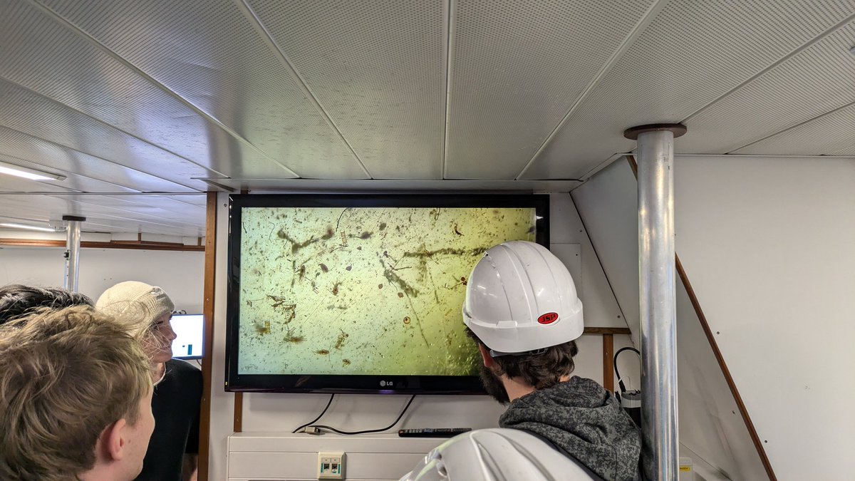 Amber Annett (@amberadium) on Twitter photo Checking out a plankton tow full of copepods during <a href="/OceanEarthUoS/">OceanEarthUniSoton</a> MSc boat week on RV Callista Checking out a plankton tow full of copepods during <a href="/OceanEarthUoS/">OceanEarthUniSoton</a> MSc boat week on RV Callista