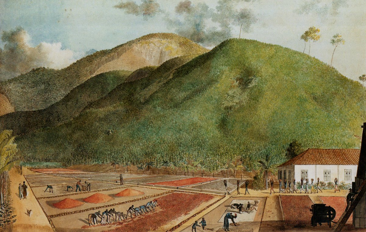 History at EUI (@eui_history) on Twitter photo Exploring the relationship between commodities and environments
On 13-15 November, our CAPASIA <a href="/ERC_Research/">European Research Council (ERC)</a> project is organising a conference on environmental consequences of extraction, production and trade processes in #EarlyModern global Asia 👉 loom.ly/x75qBf4 Exploring the relationship between commodities and environments
On 13-15 November, our CAPASIA <a href="/ERC_Research/">European Research Council (ERC)</a> project is organising a conference on environmental consequences of extraction, production and trade processes in #EarlyModern global Asia 👉 loom.ly/x75qBf4