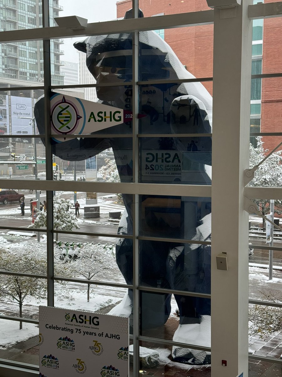 Matt Holt (@holtjma) on Twitter photo Snowy blue bear greeting us at #ASHG24 this morning! Snowy blue bear greeting us at #ASHG24 this morning!