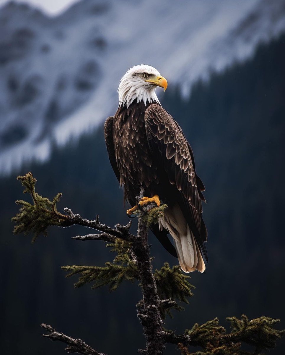 earthcurated's tweet image. Strength, Courage, Freedom….