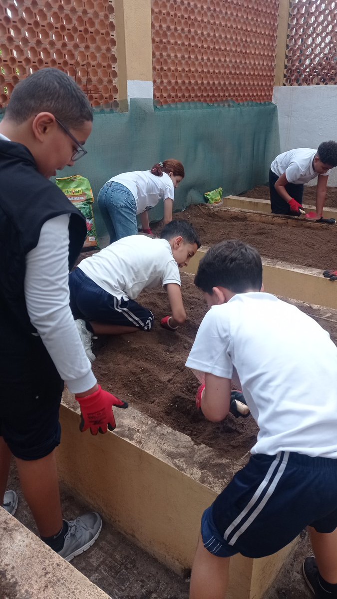 Antonio del Salto (@experiprinfa) on Twitter photo Durante estos días en el <a href="/CEIPMediterrne1/">CEIP Mediterráneo</a> iniciamos un nuevo proyecto y en #melilla un huerto escolar. Somos un equipo!! Durante estos días en el <a href="/CEIPMediterrne1/">CEIP Mediterráneo</a> iniciamos un nuevo proyecto y en #melilla un huerto escolar. Somos un equipo!!